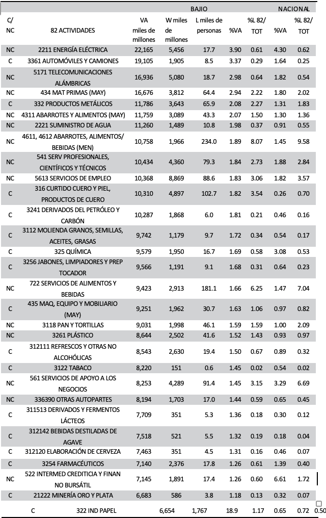 ACTIVIDADES PRINCIPALES (VA > 1.2%), 2009