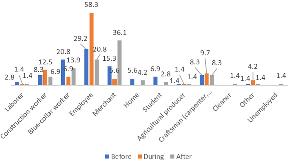 Labor occupation before, during and after the migratory experience